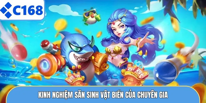Kinh nghiệm săn sinh vật biển của chuyên gia
