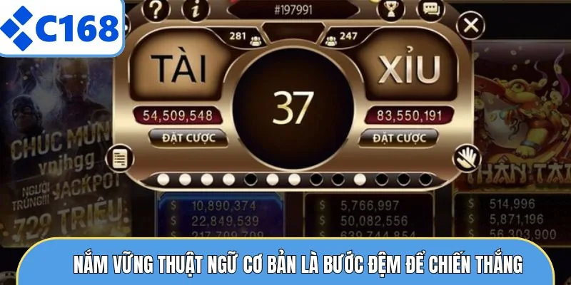 Nắm vững thuật ngữ cơ bản là bước đệm để chiến thắng